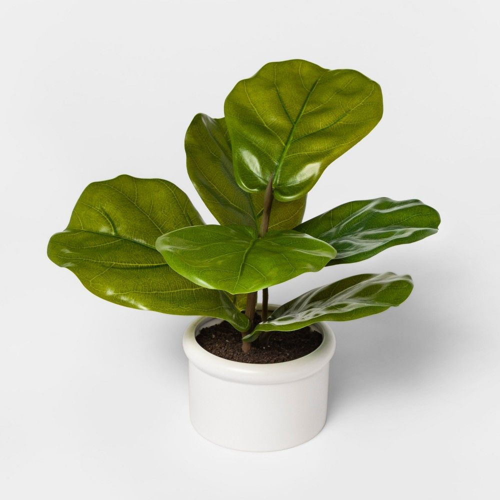 14.5"" x 10"" Artificial Fiddle-Leaf Fig In Ceramic Pot Green/White - Threshold | Target