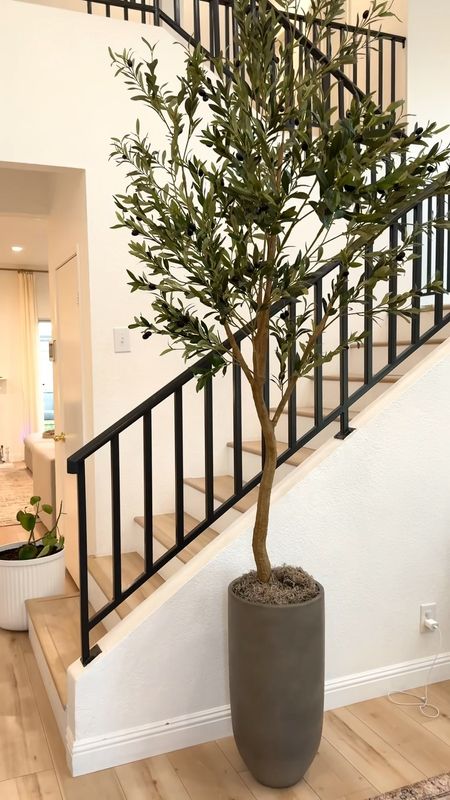 I am in love with my 8 ft olive tree from Amazon in a concrete planter from the home depot  

Home decor | Amazon home | the Home Depot | home finds | olive tree | concrete planter 

#LTKhome #LTKstyletip #LTKfindsunder100