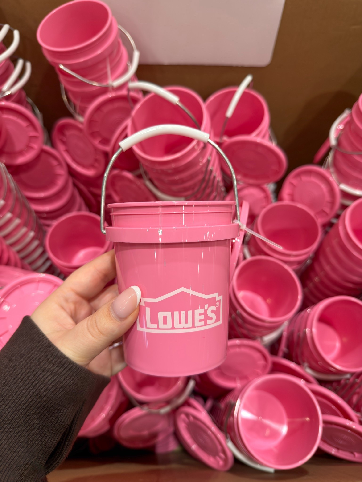 In love with these mini Lowe’s buckets! So cute go Valentine’s Day 

#LTKFindsUnder100 #LTKFindsUnder50 #LTKSeasonal