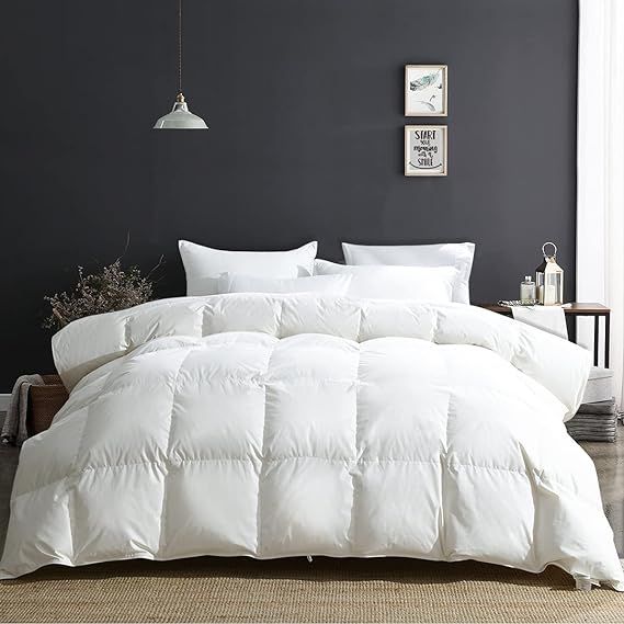 APSMILE King Size Luxury 100% Organic Cotton All Season Goose Feathers Down Comforter 750 Fill Po... | Amazon (US)
