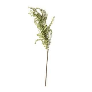 Weeping Fern Stem by Ashland® | Michaels Stores