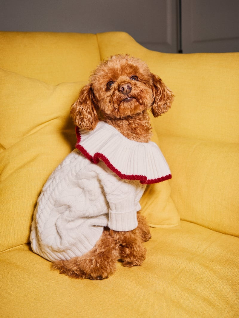 Chip Regenerative Wool Dog Sweater | Reformation (Global)