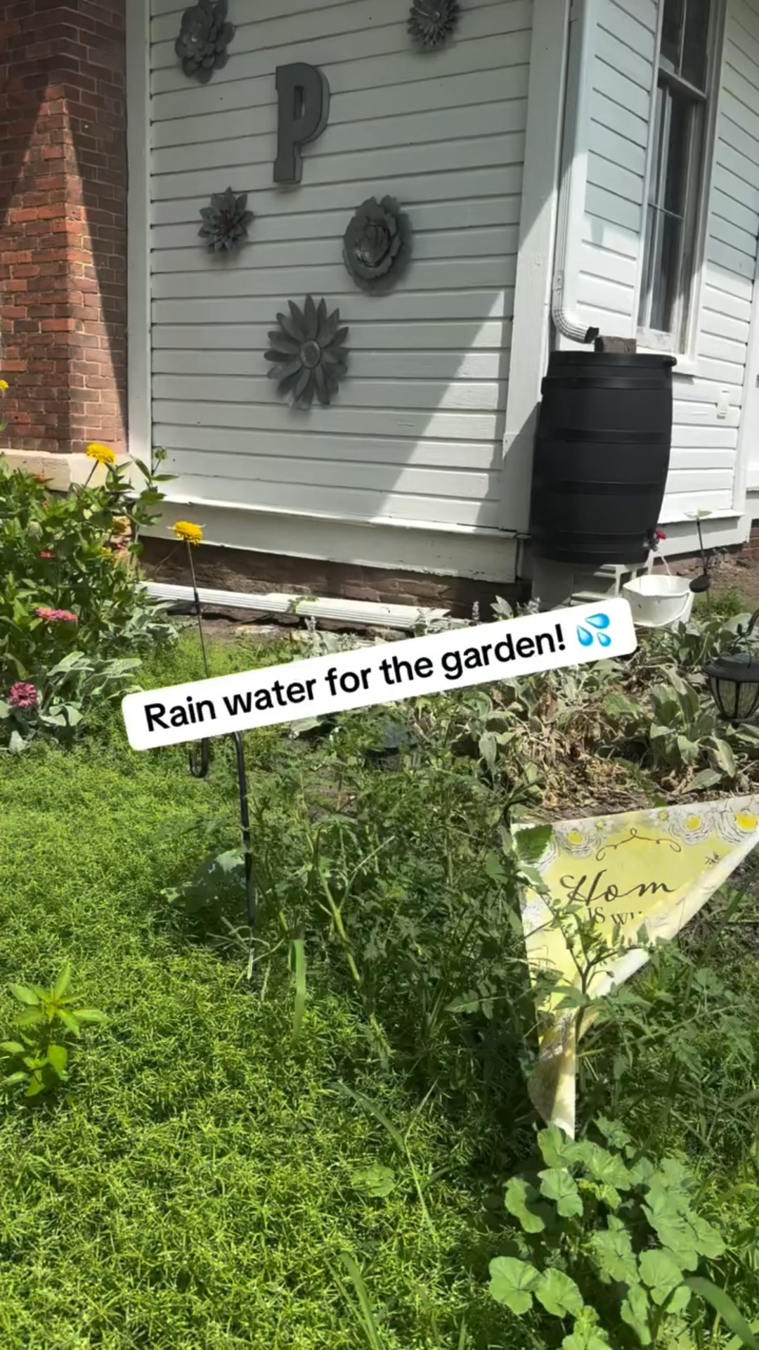 Is it wrong that I’m still dreaming of our outdoor garden?! 😉 we had our first freeze last night! 

Those of you still in a warm climate (or those of you like me already looking at seeds for next year!) 😂 enjoy a summer moment! 

Just an fyi - we are in Zone 6a. Anyone want to do this with me next year?! 🎉