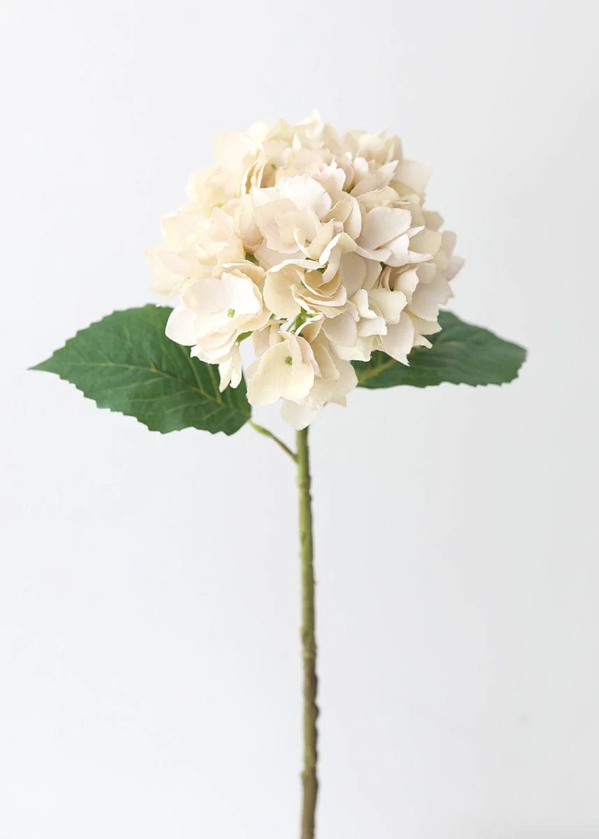 Hydrangea in Beige | High-Quality Artificial Flowers | Afloral.com | Afloral
