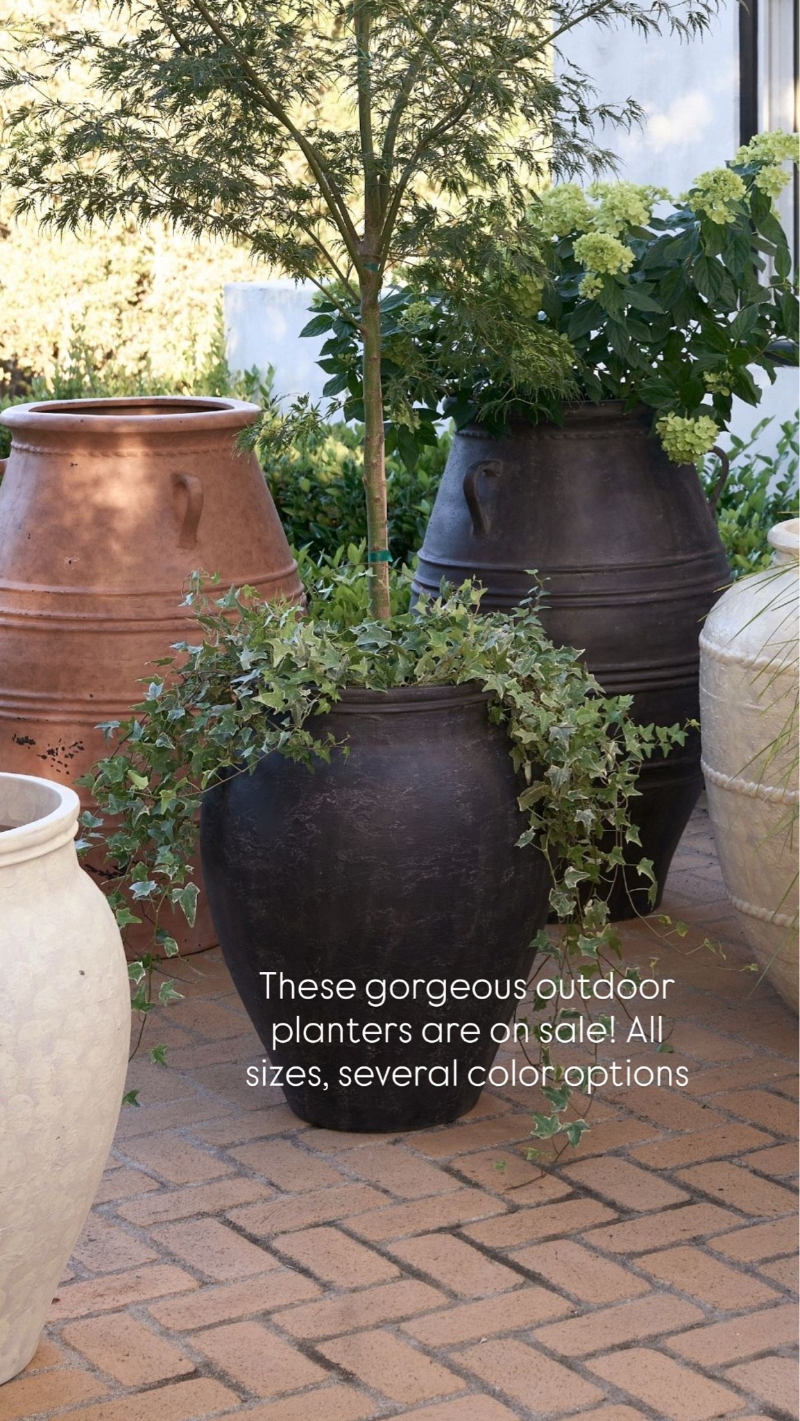 These gorgeous outdoor planters are on sale! All sizes, several color options

#LTKSaleAlert #LTKHome #LTKSeasonal
