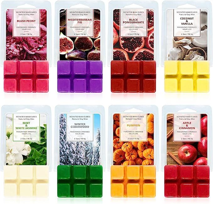 SCENTORINI Scented Wax Melts, 8x2.5 oz, Wax Cubes, Scented Soy Wax Melts | Amazon (US)