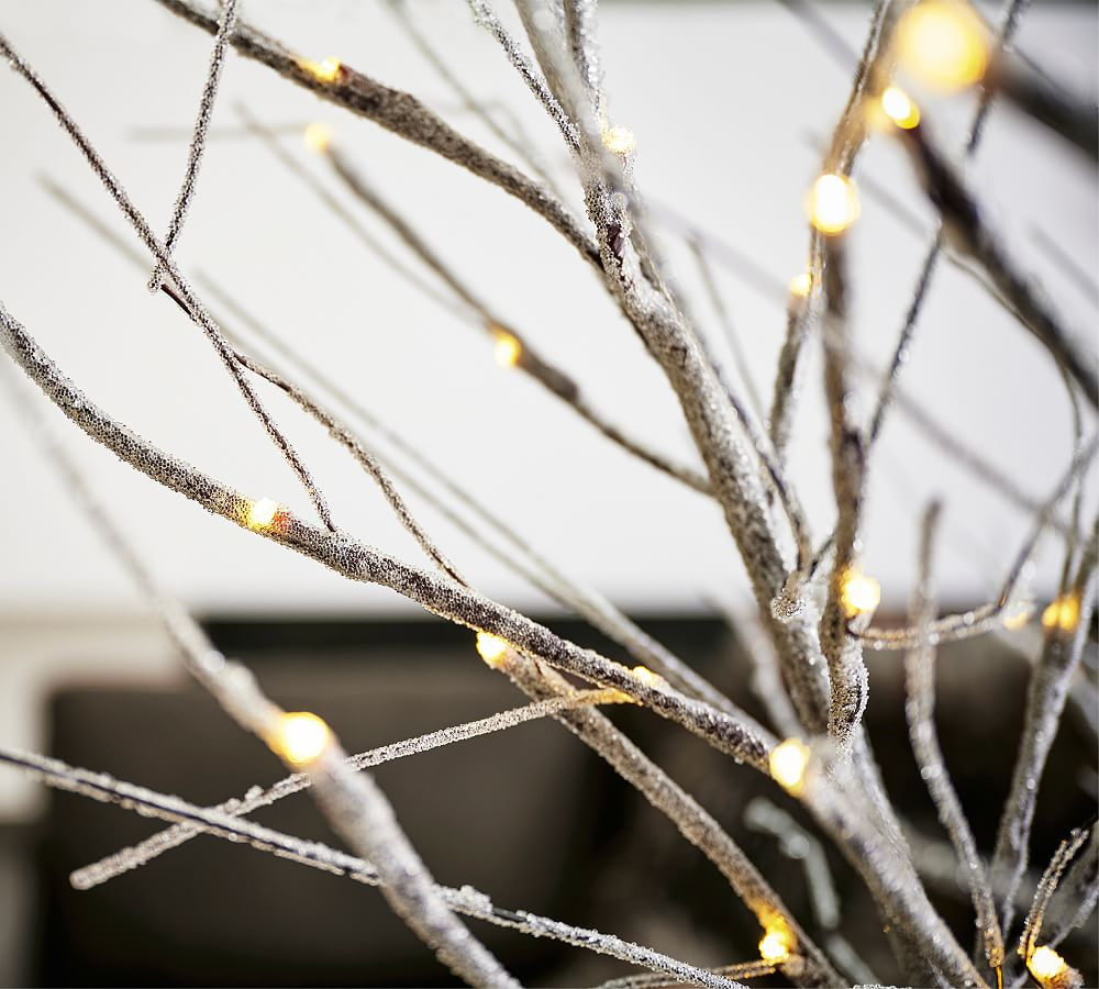 Lit Frosted Twig Bundle - Set of 3 | Pottery Barn (US)
