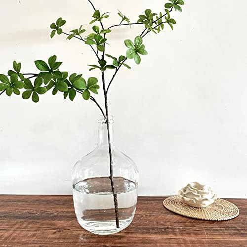 BUICCE Clear Large Glass Vases Balloon Jug Floor Flowers Round Vase for Farmhouse Tabletop Centerpie | Amazon (US)
