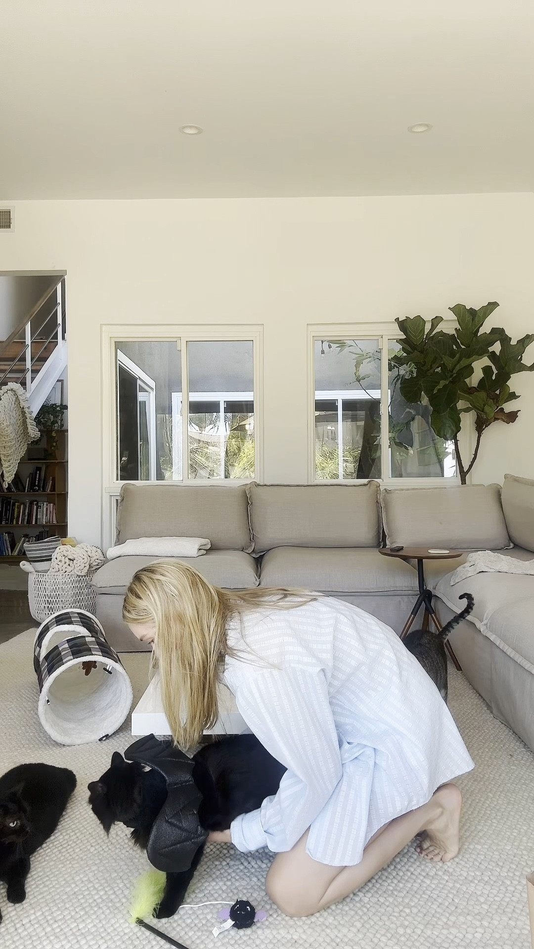 dressing up the cats for Halloween! #petcopartner #ad