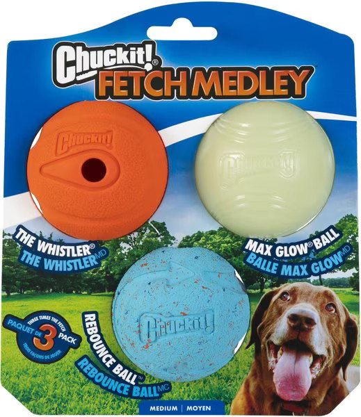 Chuckit! Fetch Ball Medley Triple Pack Dog Toy | Chewy.com