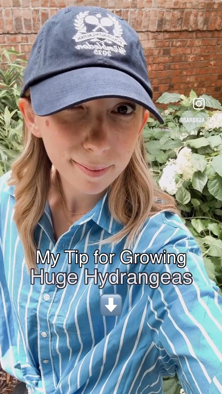 Shared my tips on IG! Here’s my comfy everyday outfit and it’s on sale for under $35! 



#LTKSaleAlert #LTKSummerEdit #LTKSeasonal