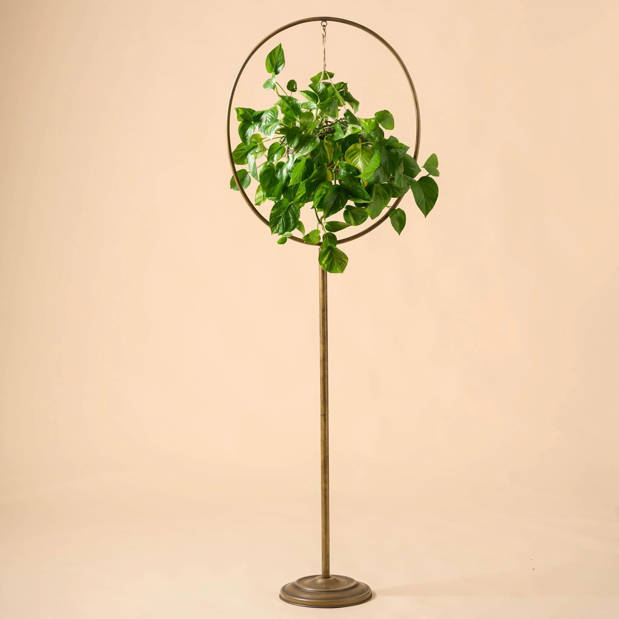 Hayden Plant Stand | Magnolia