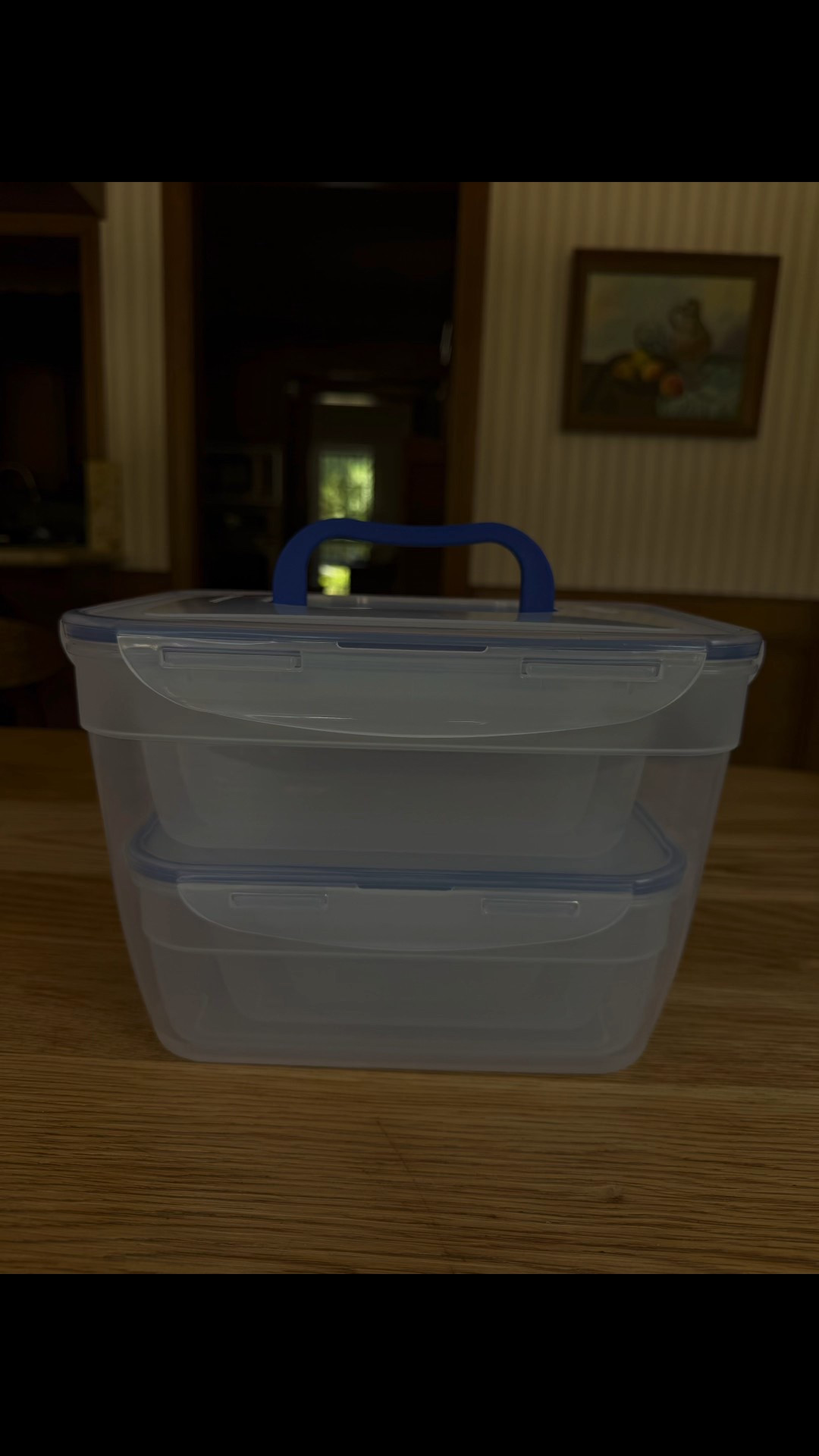 Multi purpose storage containers 

#LTKSaleAlert #LTKFallSale #LTKHome