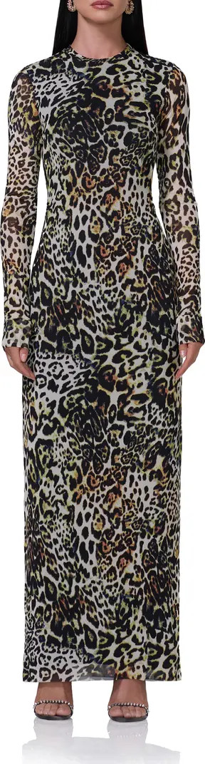 Didi Long Sleeve Mesh Maxi Dress | Nordstrom