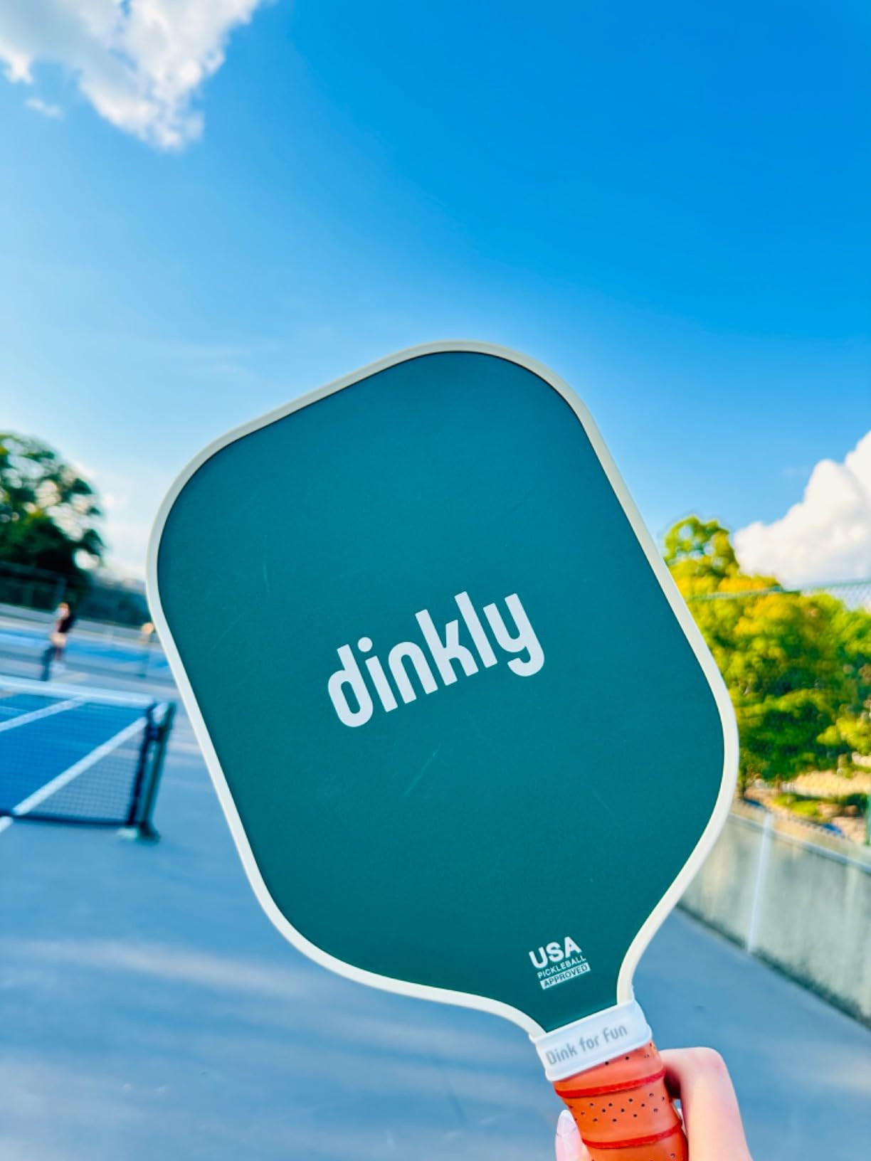 Pickleball Paddles Set of 2/4- USAPA Approved Graphite/Fiberglass Pickleball Racket, 2 Pickleball... | Amazon (US)