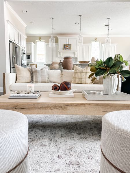 Sharing with you my living room today and a close up to my coffee table styling. From the marble tray I just purchased to the leather spheres that are on sale! And the fluted gray and vase. My pillows are perfect for summer and so is my rug. 

#LTKstyletip #LTKhome #LTKSeasonal