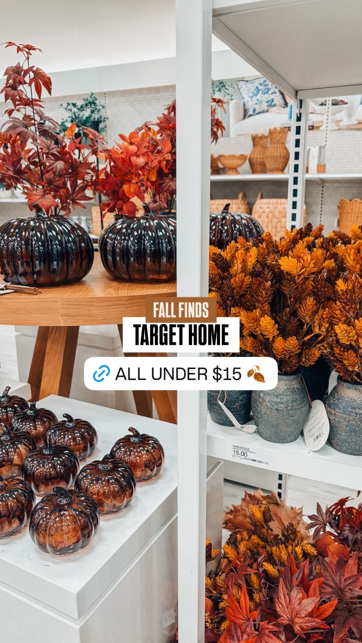 TARGET HOME FALL FINDS!🤎🍂 all under $15!

#LTKSeasonal #LTKHome #LTKSaleAlert