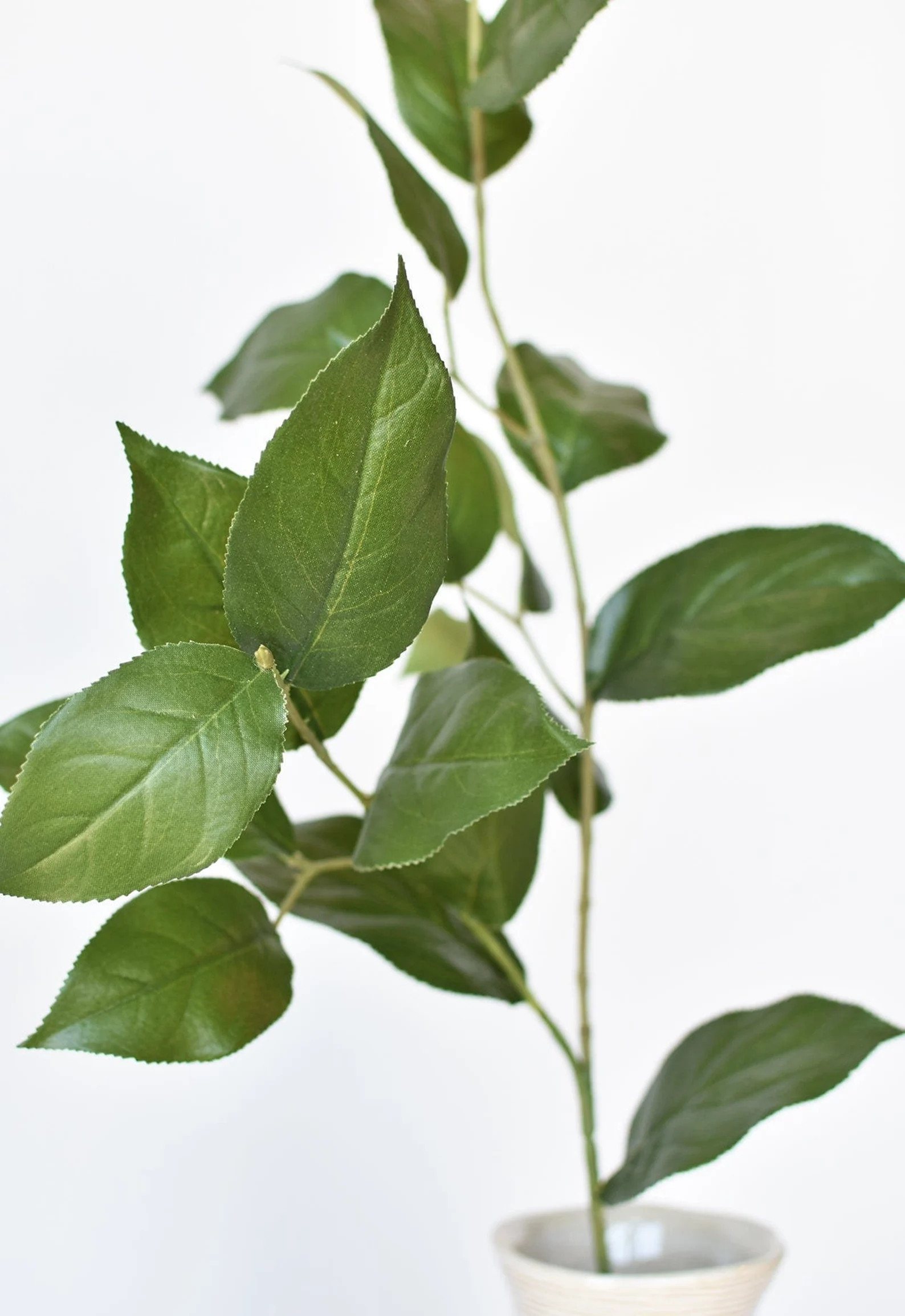36" Faux Lemon Leaf Branch Stem - Etsy | Etsy (US)