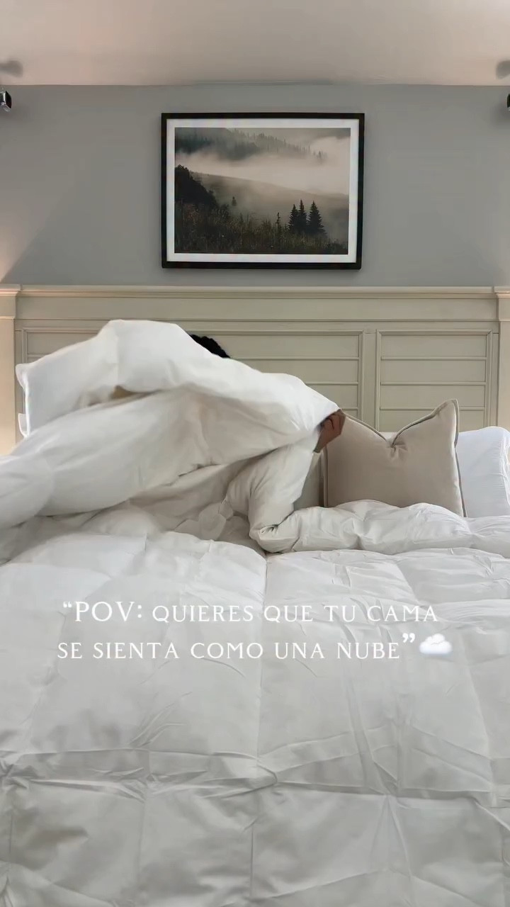 Un comforter cómodo, suave y de excelente calidad — ideal para un hogar con mascotas 🐶🤍☁️

🔗 Link en mi bio (en mi Amazon storefront)

#sophiaandwilliam #bedroom #home #comforter #amazonfinds

#LTKSaleAlert #LTKHome