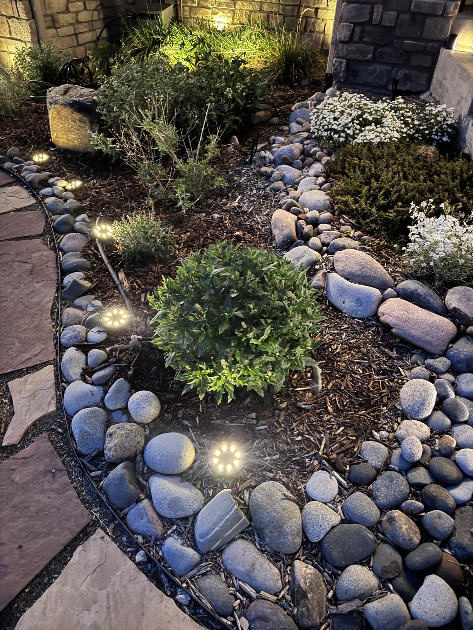 Solar powered walkway lights! They are so bright and look beautiful at night! Perfect for your outdoor garden path! 🪴⛲️

#LTKHome #LTKSeasonal #LTKFindsUnder50