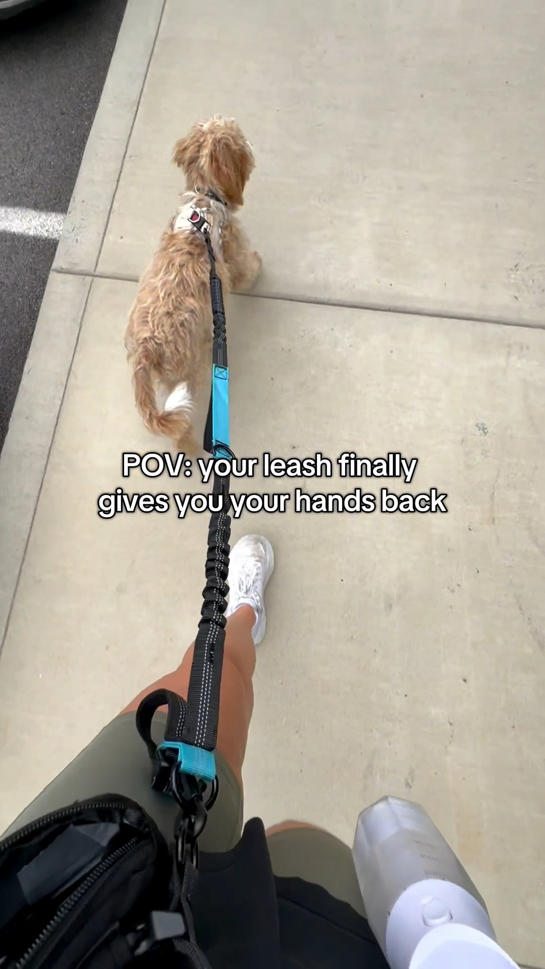 I used to leave the house with a leash in one hand, water bottle in the other, and the training remote hanging from my wrist 🙃 Now I can be hands-free, stress-free! This leash changed everything. Linked it on my LTK + Amazon storefront for you!! #dog #essentials #handsfreeleash #amazonfinds #amazon #dogsoftiktok #minigoldendoodle #puppy #ltk 

#LTKActive #LTKPets #LTKFindsUnder50