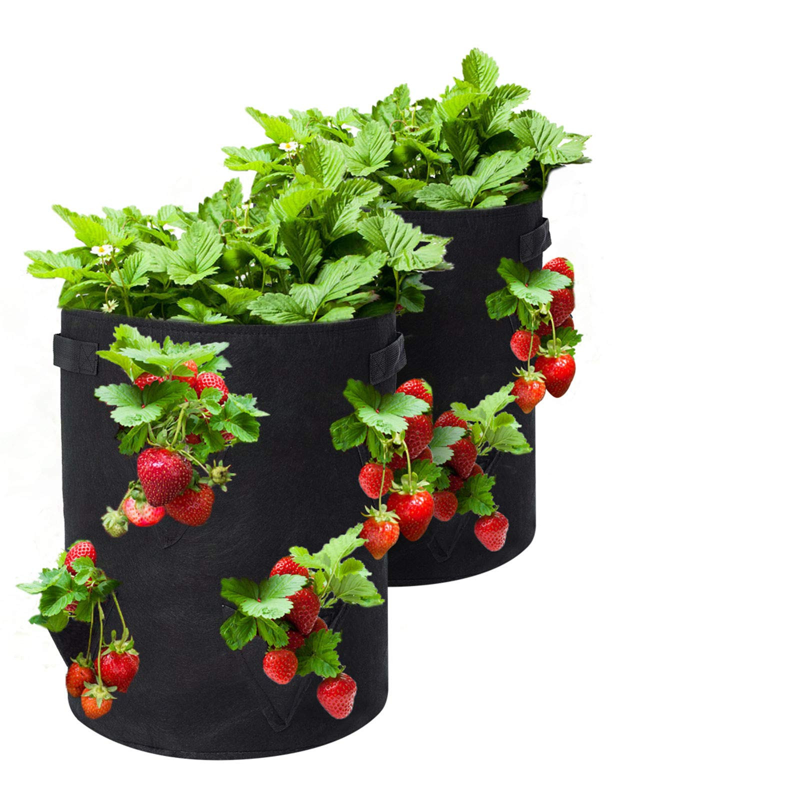 GOTGELIF Strawberry Grow Bags, 2 Pack 10 Gallon Strawberry Planter with 8 Side Grow Pockets, Brea... | Amazon (US)