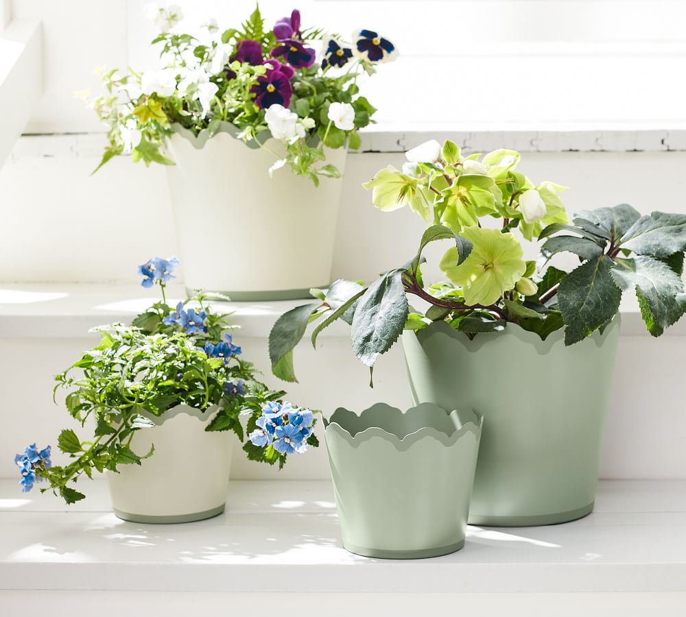 Julia Berolzheimer Lily Scalloped Metal Tole Planters | Pottery Barn (US)