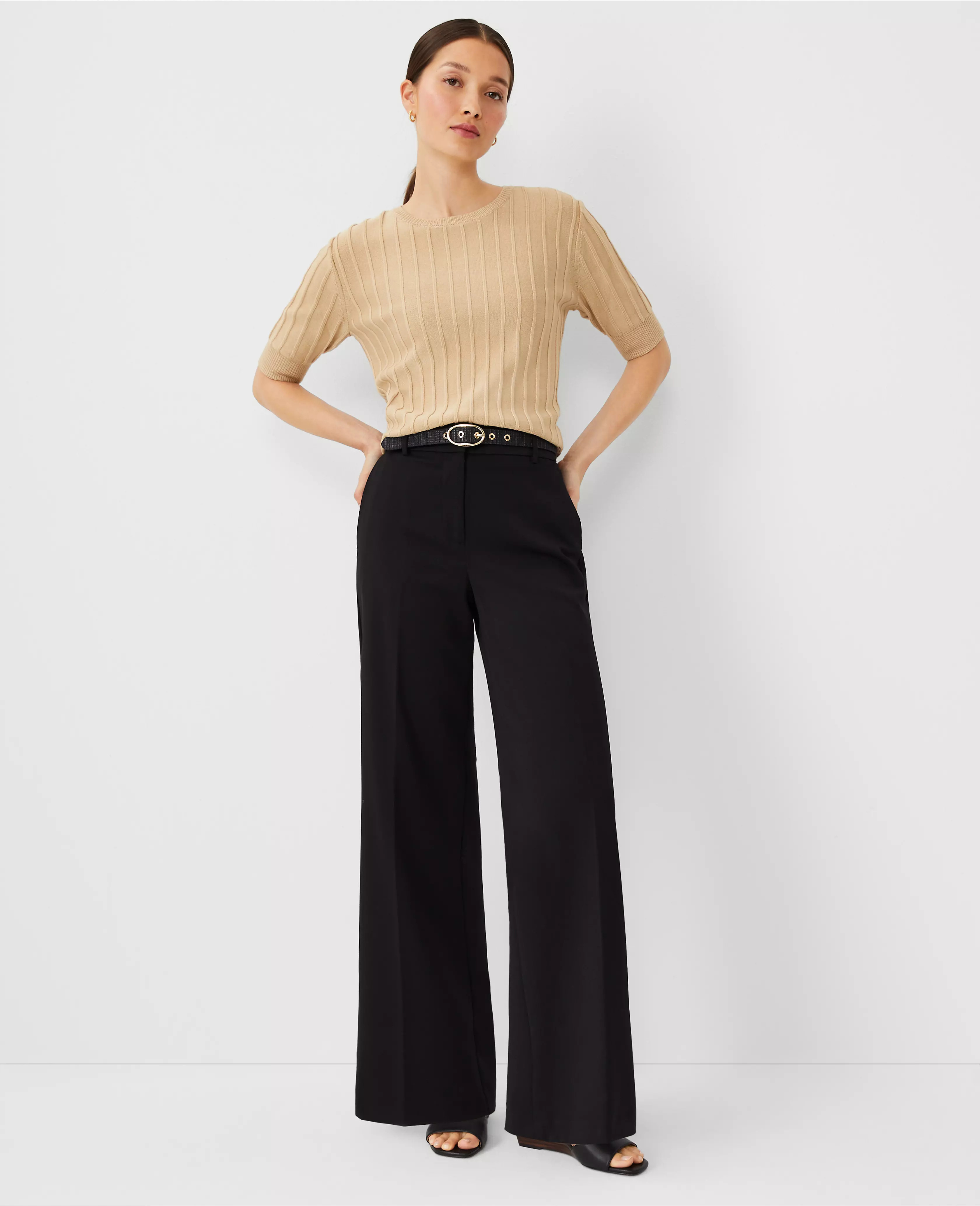 The Wide-Leg Pant | Ann Taylor