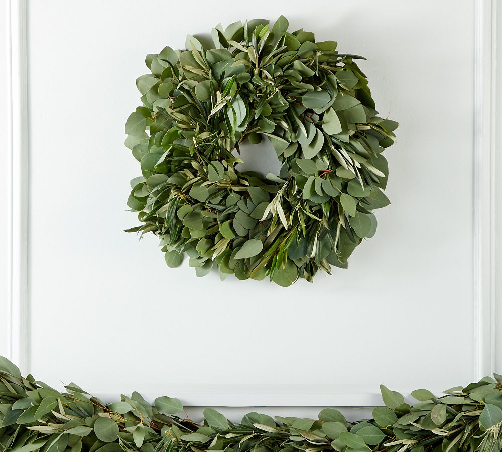 Fresh Silver Dollar Eucalyptus Olive Wreath & Garland | Pottery Barn (US)