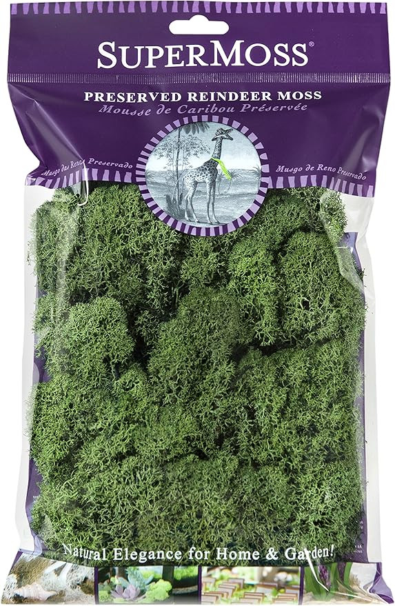 SuperMoss (23080) Reindeer Moss Preserved, Basil, 2 Ounces | Amazon (US)