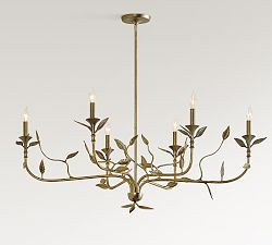 Botanical Forged Iron Oval Chandelier (50") | Pottery Barn (US)