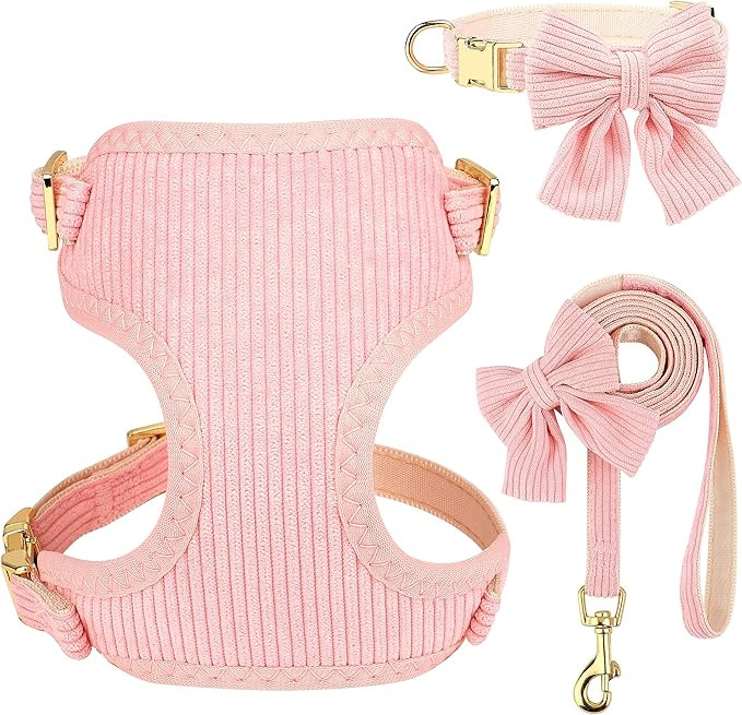 Didog Cute Small Dog Harness Collar and Leash Set with Bowtie, Pink, S | Amazon (US)