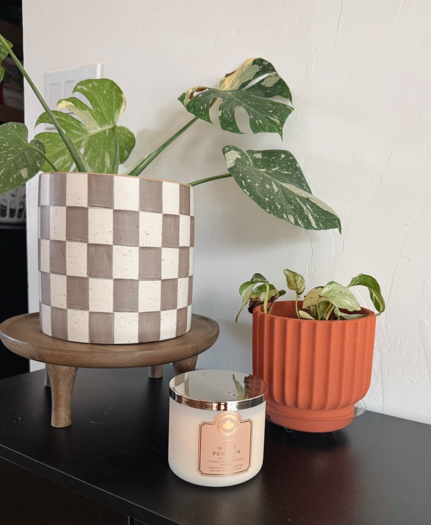 No snow? Then that means spring time/colors!! 🌞

#LTKHome #LTKSeasonal #LTKFindsUnder50