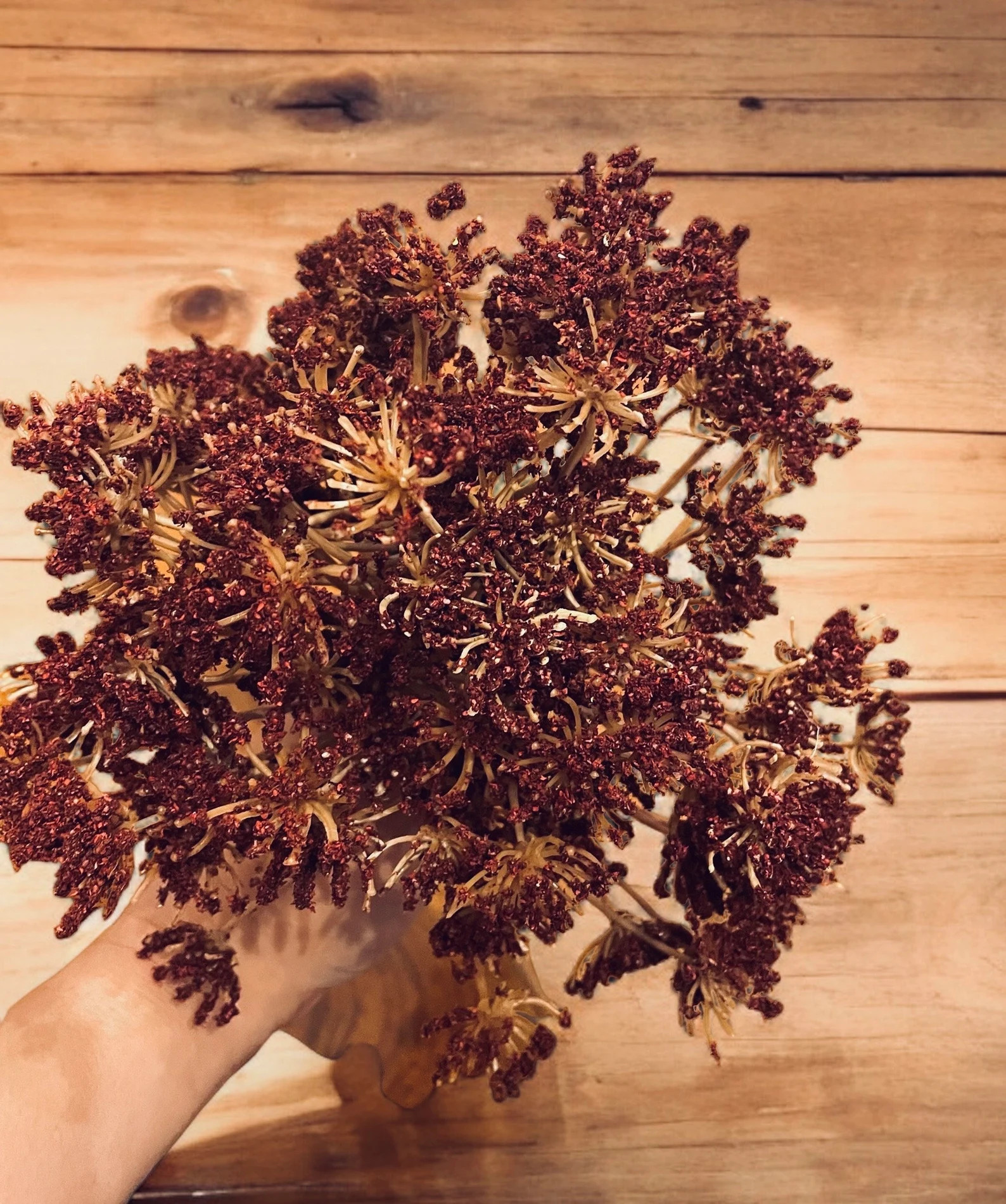 Picks 1 Piece Burgundy Queen Annes Lace, Fall Picks, Fall Crafts, Fall Decor, Craft Supplies, Fal... | Etsy (US)