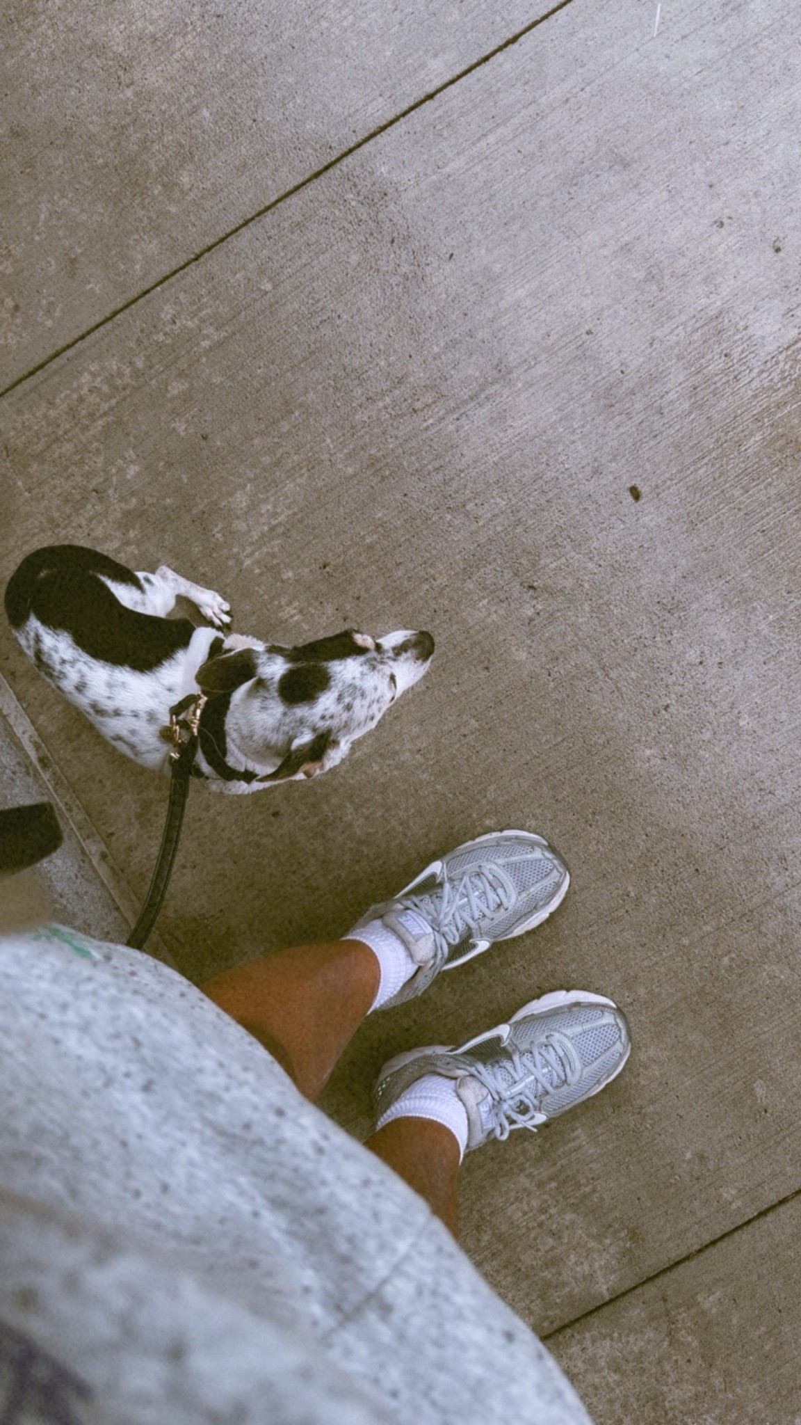 Just me and my girl🫶🏽🐶

#LTKmomlife #LTKfitnessgoals #LTKMidsize