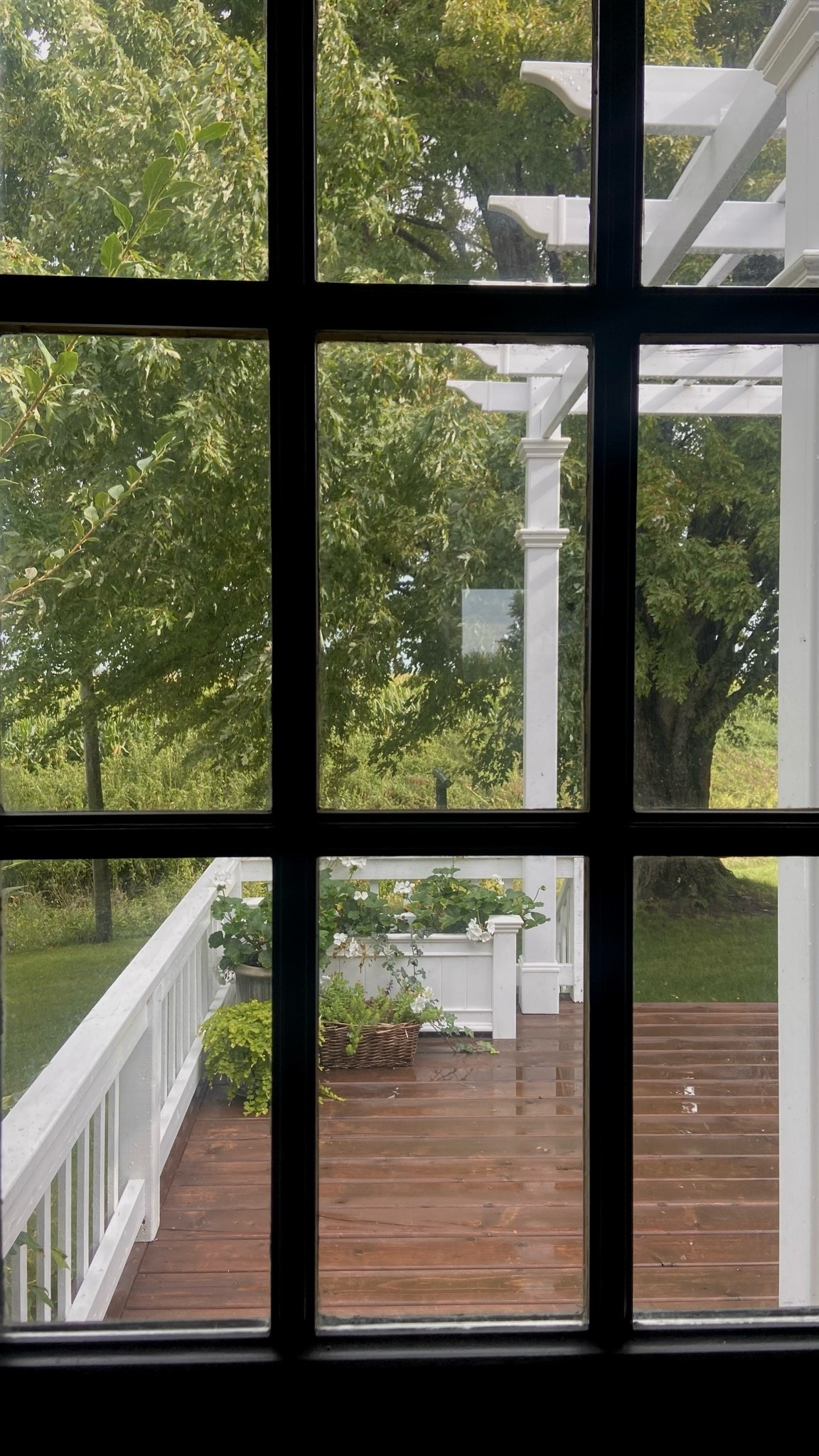 The best maintenance-free, all weather planters and pergola. Zero effort, and they always look perfect.

#LTKcanada #LTKfall #LTKhome