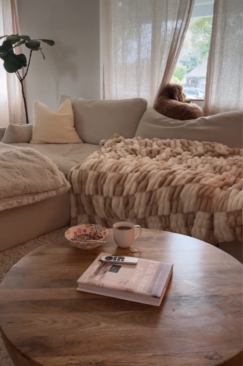 My favorite blankets on sale! Use code ALLY for 45% off🤎

#LTKU #LTKsalealert #LTKhome