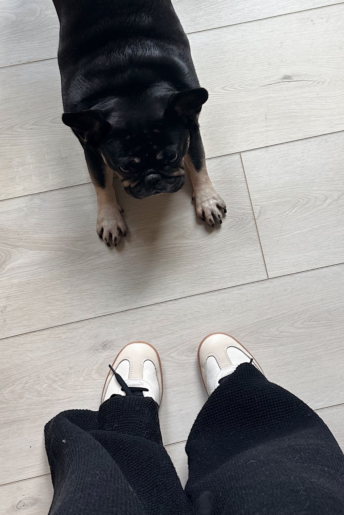Neutral Sambas