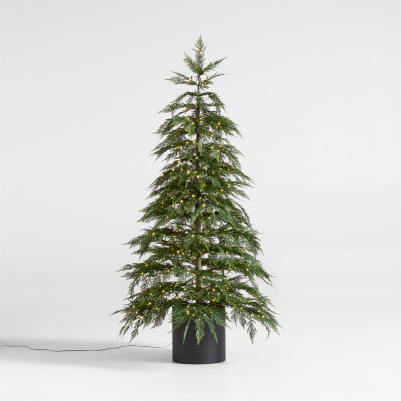 Faux Potted Hemlock Large Pre-Lit LED Christmas Tree with White Lights 6' + Reviews | Crate & Bar... | Crate & Barrel