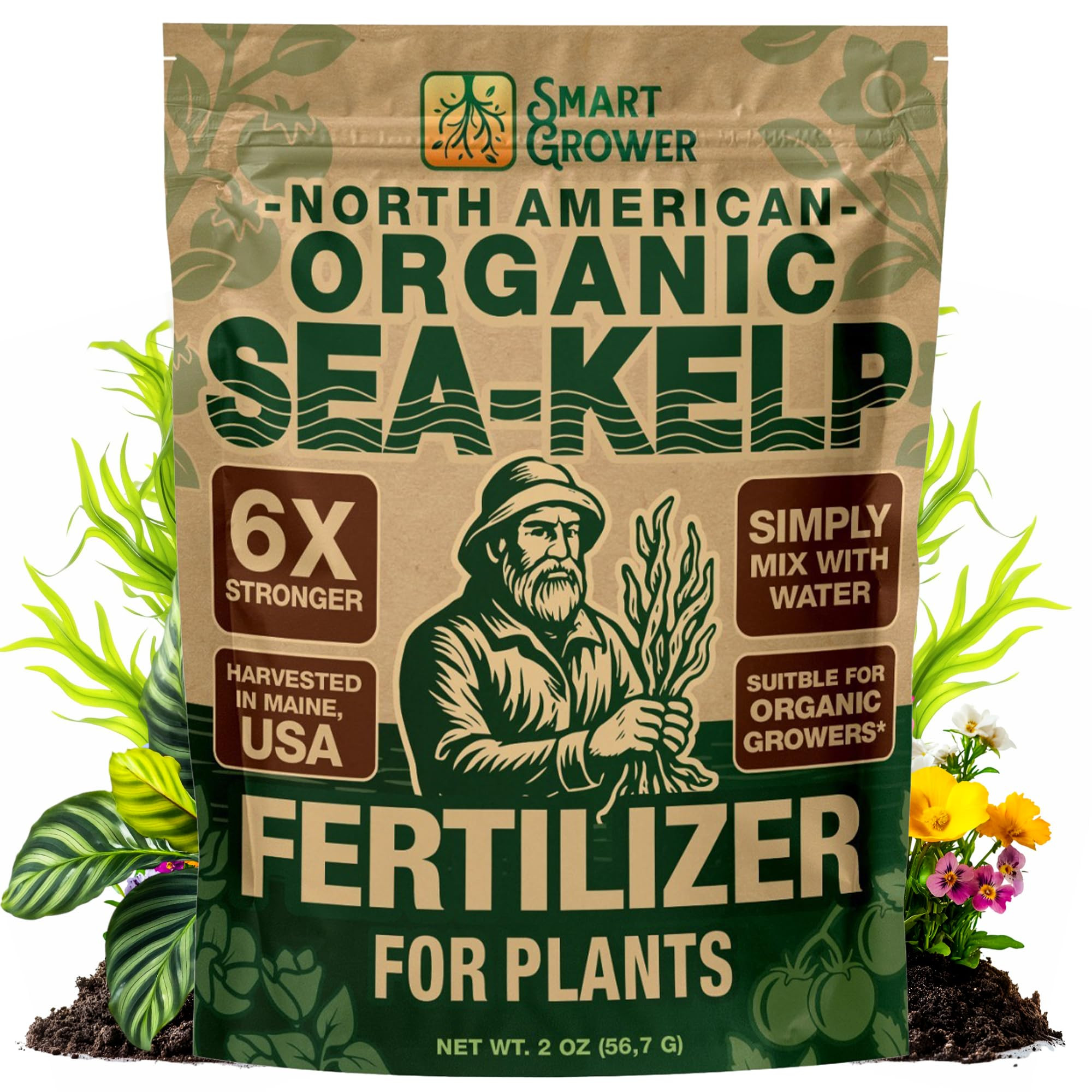 Organic Sea Kelp Fertilizer for Plants – Water-Soluble – Makes 50 Gallons – Kelp Meal Conce... | Amazon (US)