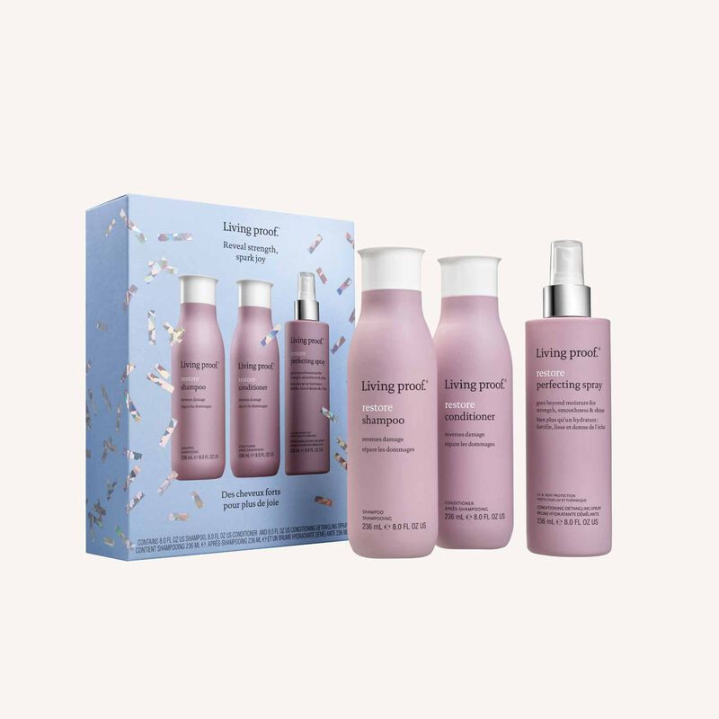Restore Hair Repair Treatment Kit | Living Proof