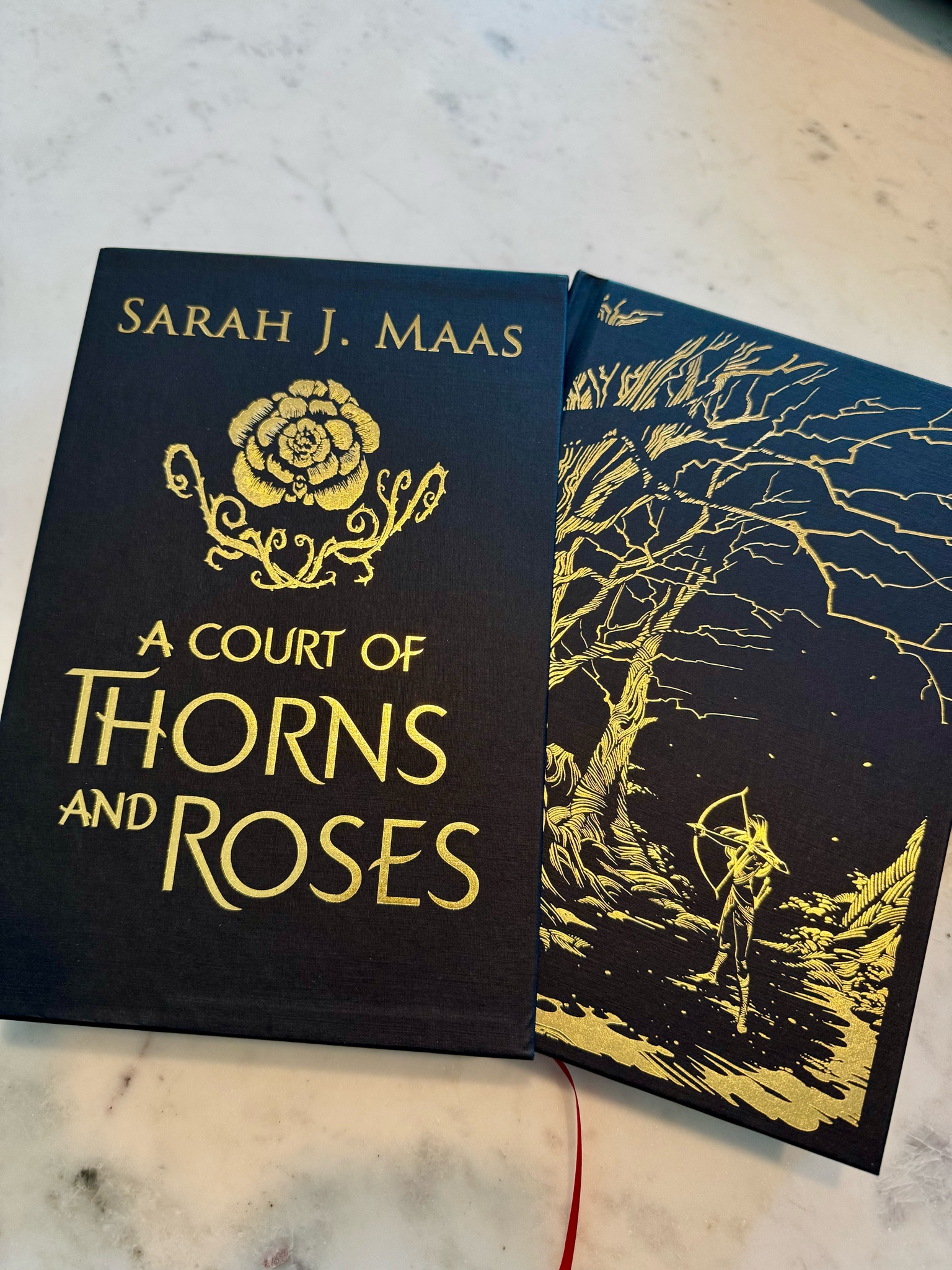 a court of thorns and roses collector’s edition 

#LTKGiftGuide #LTKFindsUnder50 #LTKHome