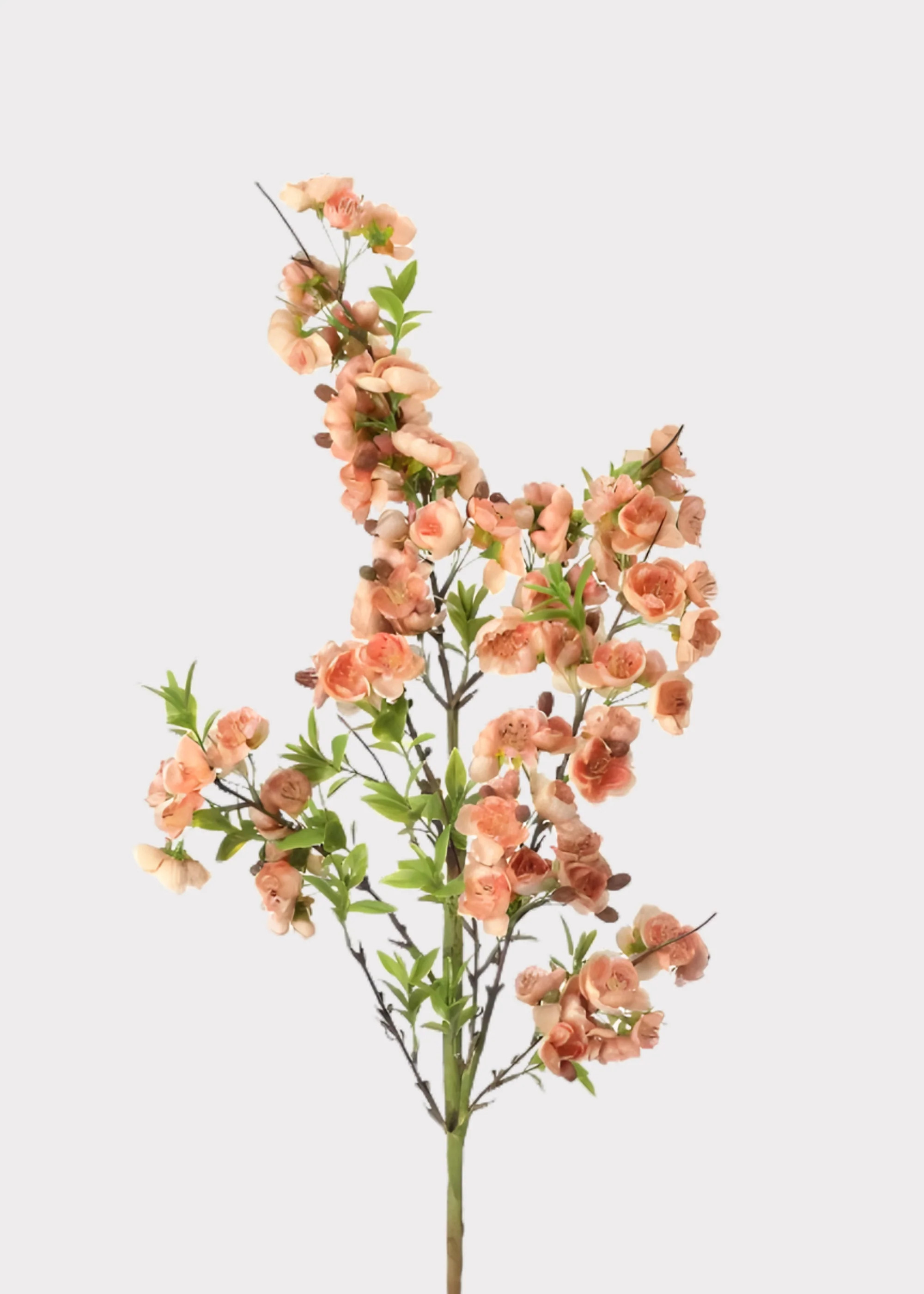 Fake Wild Apple Blossom Flower Branch in Peach - 38 | Afloral