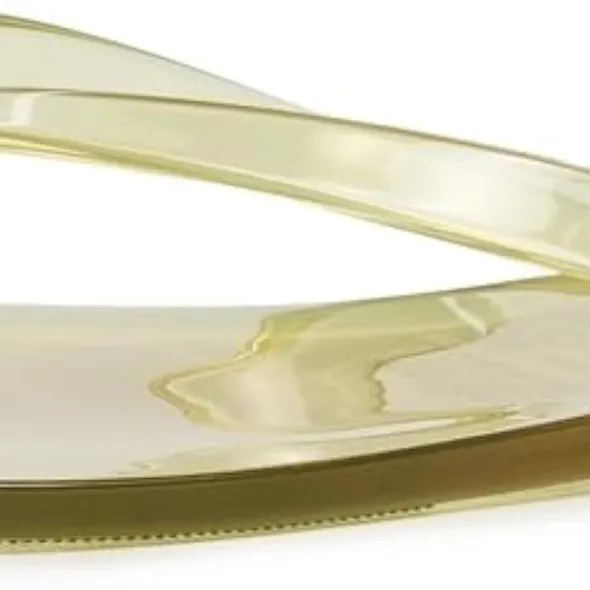 Madewell x Melissa Jelly Flip Flops product image from the verified GPgrows LTK collection