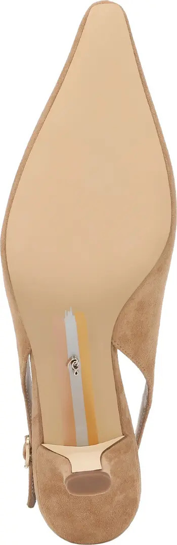Bianka Slingback Pointed Toe Pump (Women) | Nordstrom