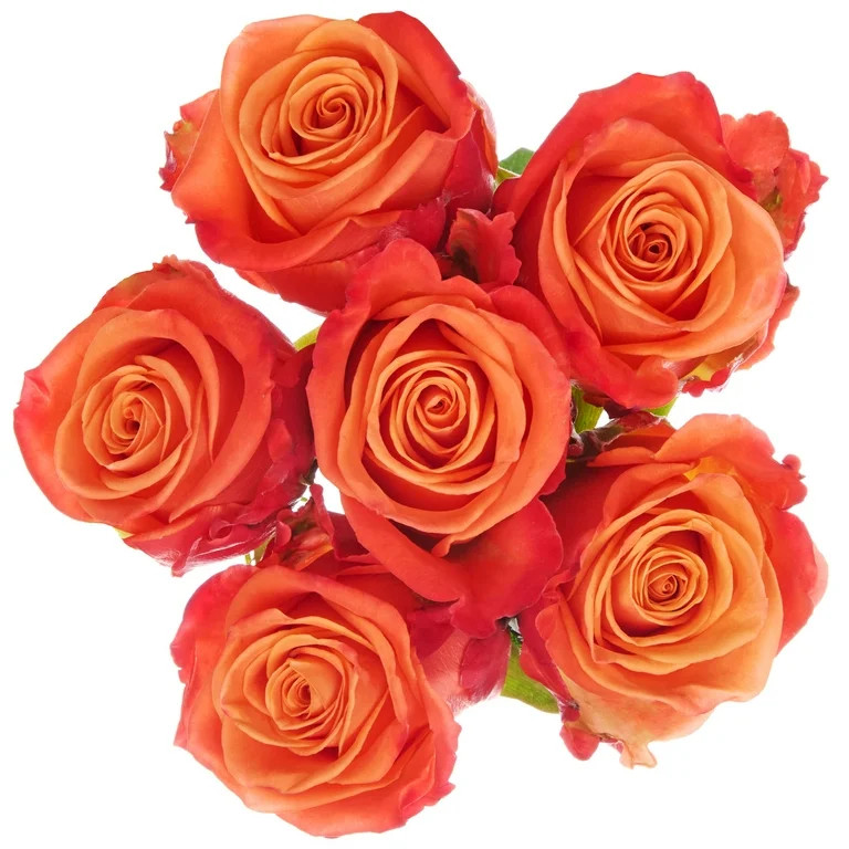 Assorted Color Roses 6 Stem | Walmart (US)