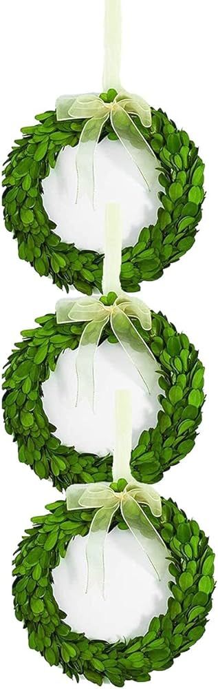 Boxwood Valley Boxwood Wreath Mini 6 inch Preserved Round Boxwood Wreath, Door Wall Hanging Windo... | Amazon (US)