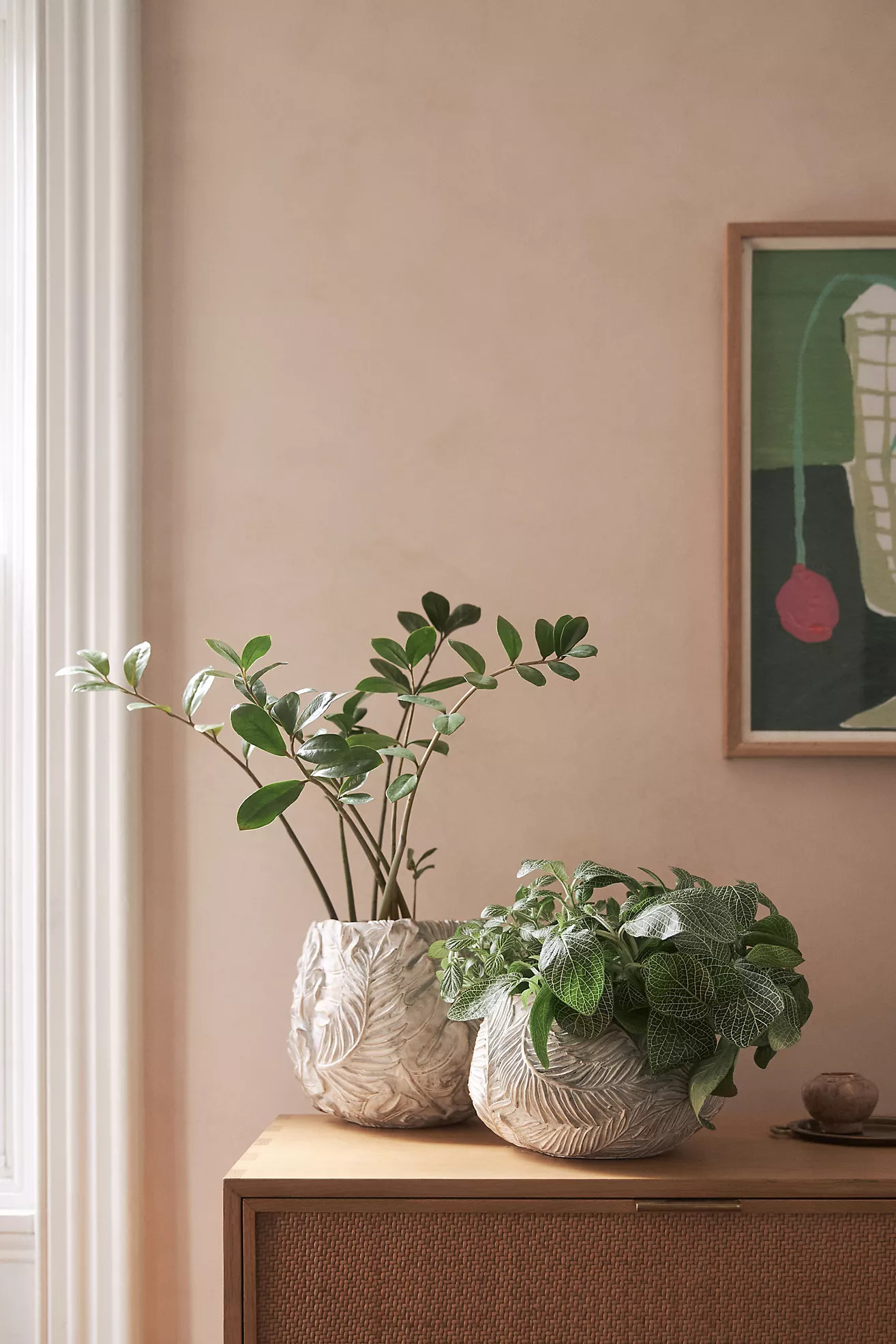 Amapa Concrete Leaf Pot | Anthropologie (US)