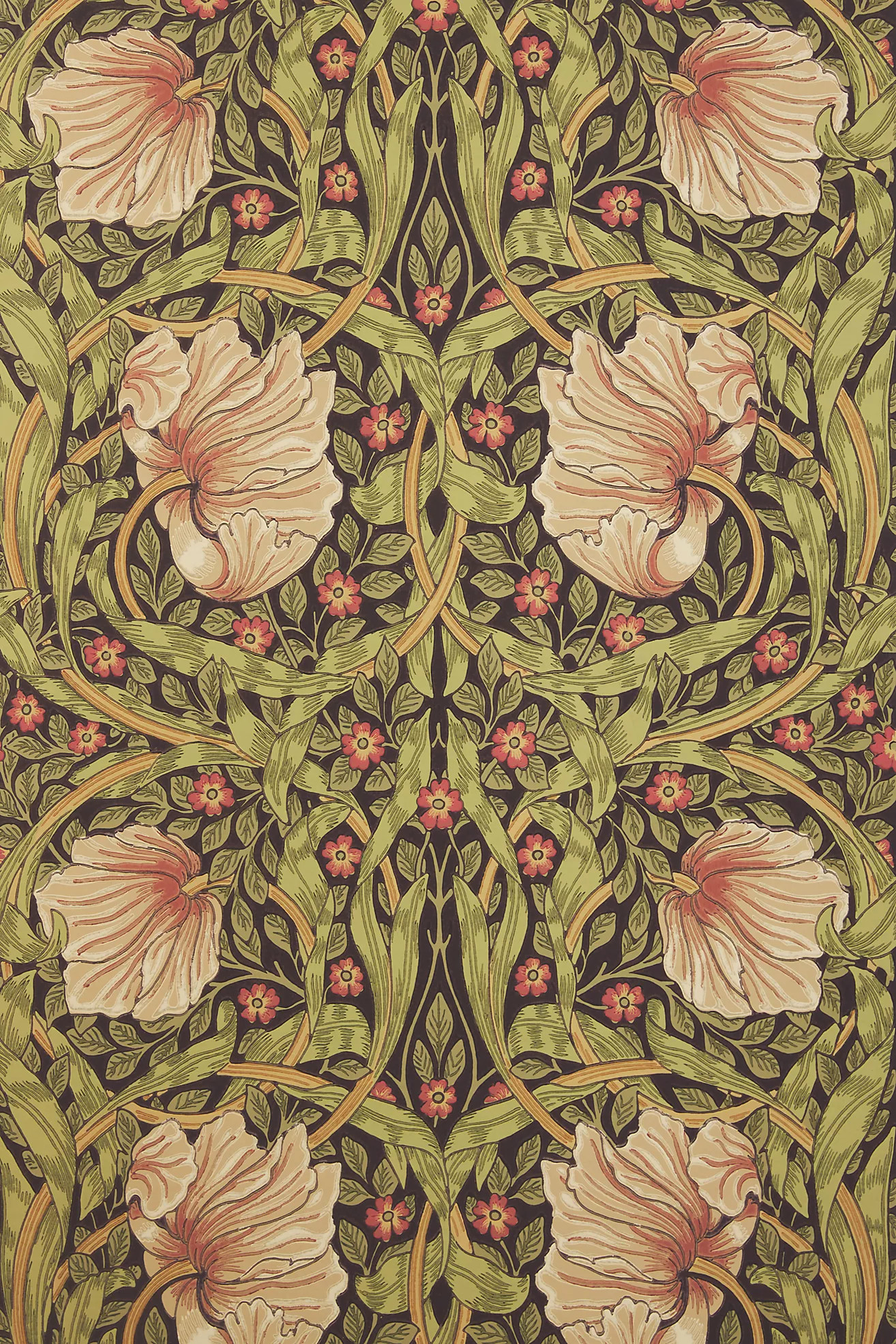 Morris & Co. Pimpernel Wallpaper | Anthropologie (US)