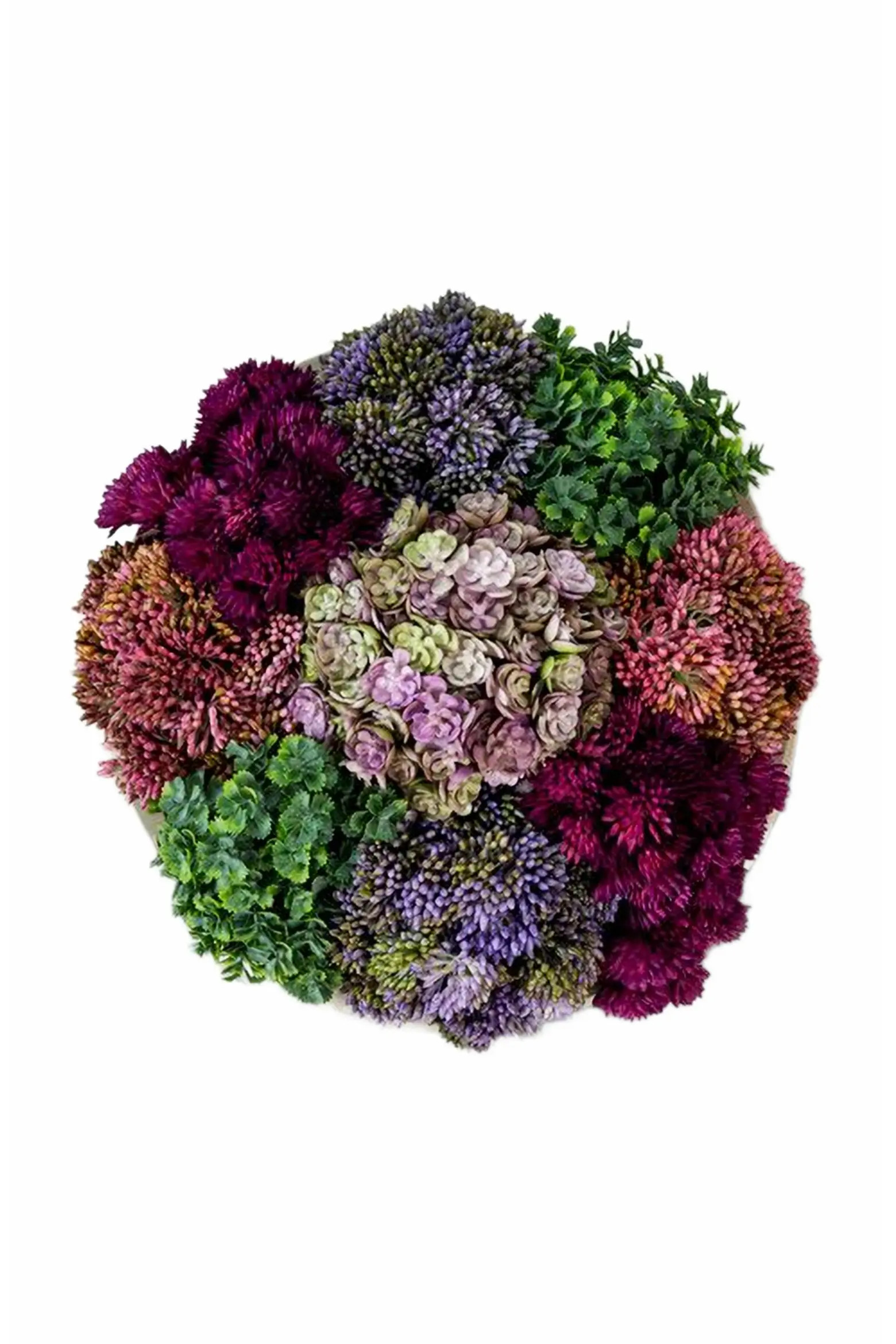 Georgina Sedum Arrangement | Nordstrom | Nordstrom